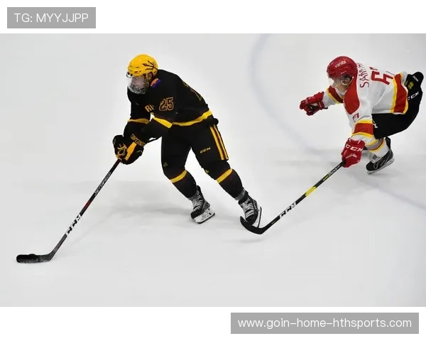 冰球世界杯北美队展现惊人速度与力量，北美冰球职业联赛总决赛