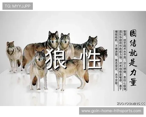 北京队战术升级，期待团队新突破！，北京战队口号